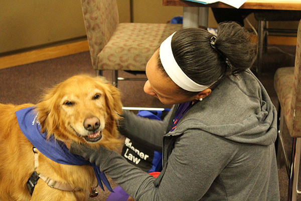 picture of student with therapy dog